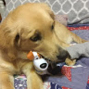 Meet your Posher, Sophia